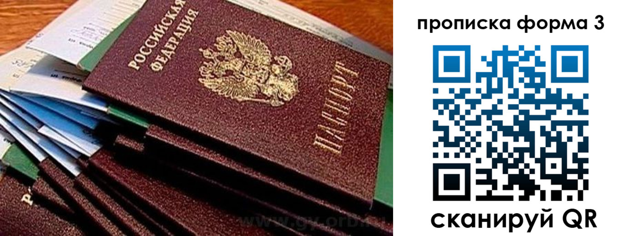 прописка иностранных граждан в Саратове